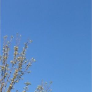 Meet your Posher, Brynn